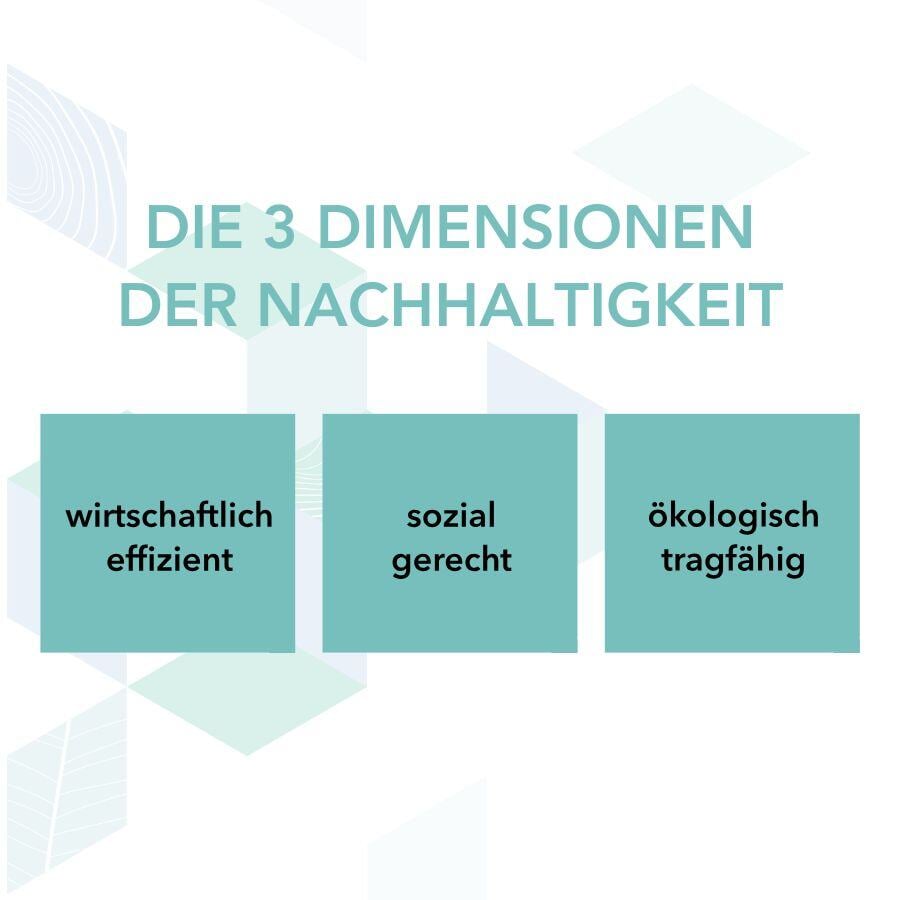 drei_dimensionen_nachhaltigkeit_designfunktion_v3